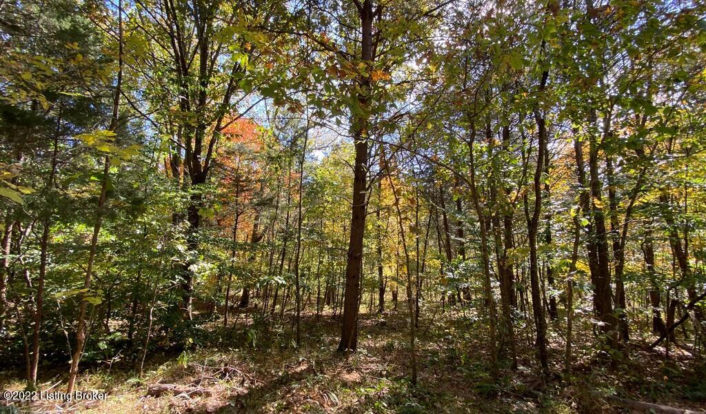 L46 Logsdon Spur Road Clarkson, KY 42726 - Photo 8 of 11 River View Fall244