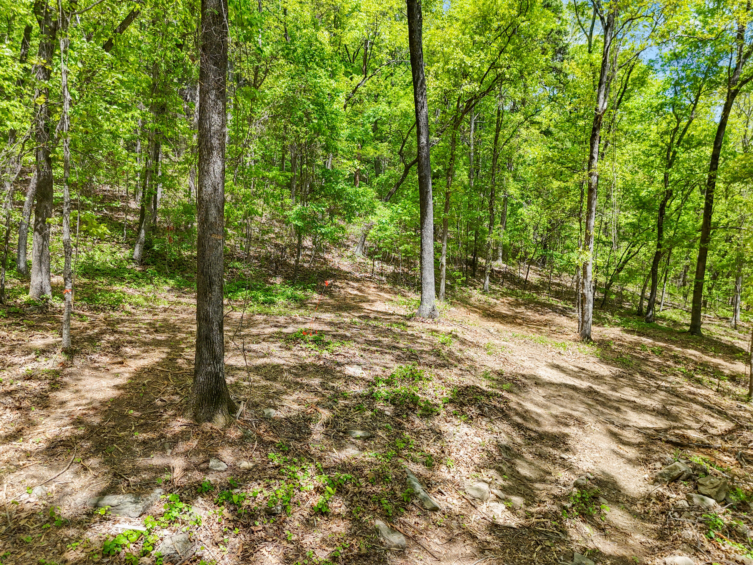 Lot 9 McDonald Road McDonald, TN 37353 - Photo 11 of 31 Photo