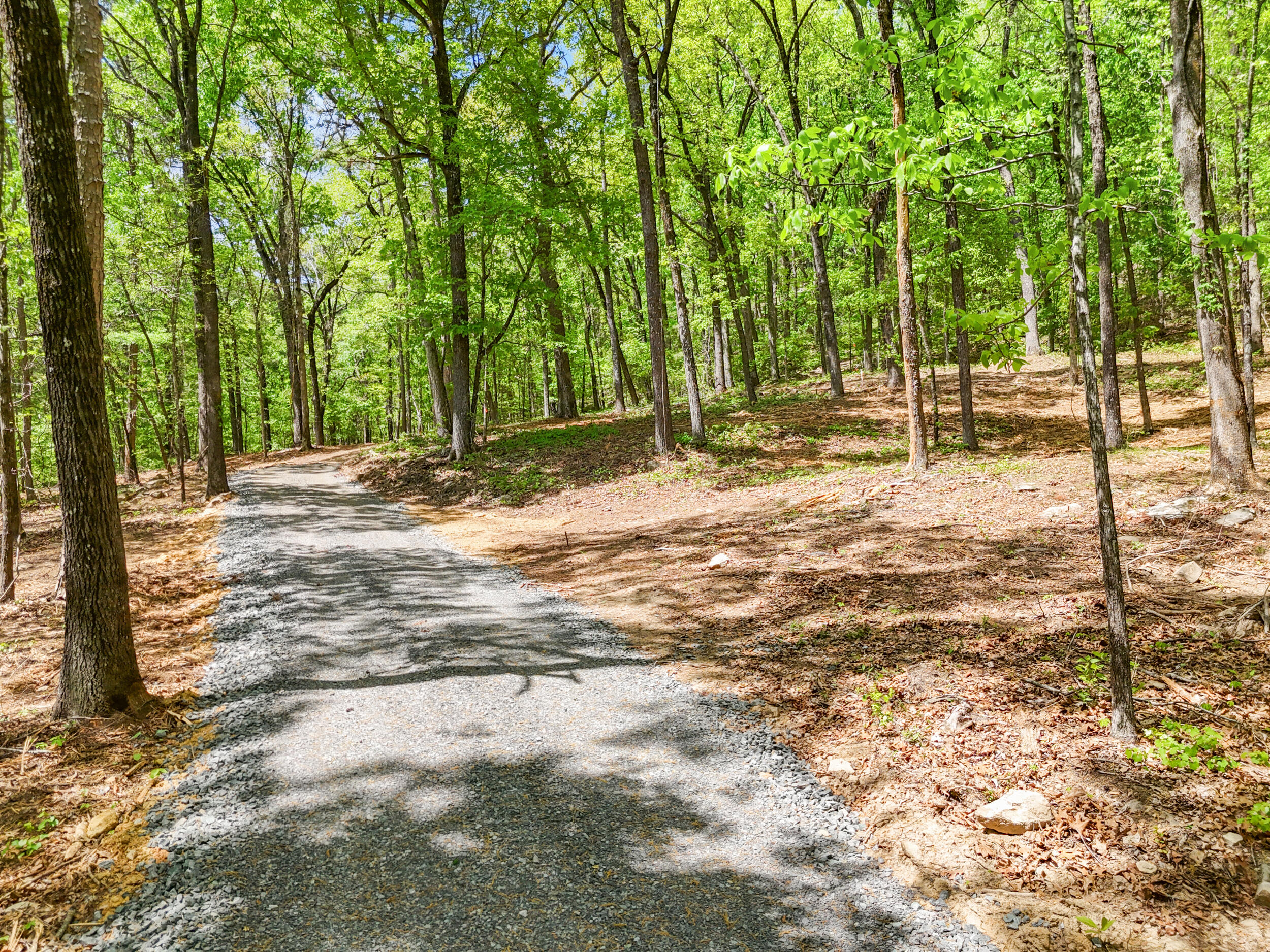 Lot 9 McDonald Road McDonald, TN 37353 - Photo 13 of 31 Photo