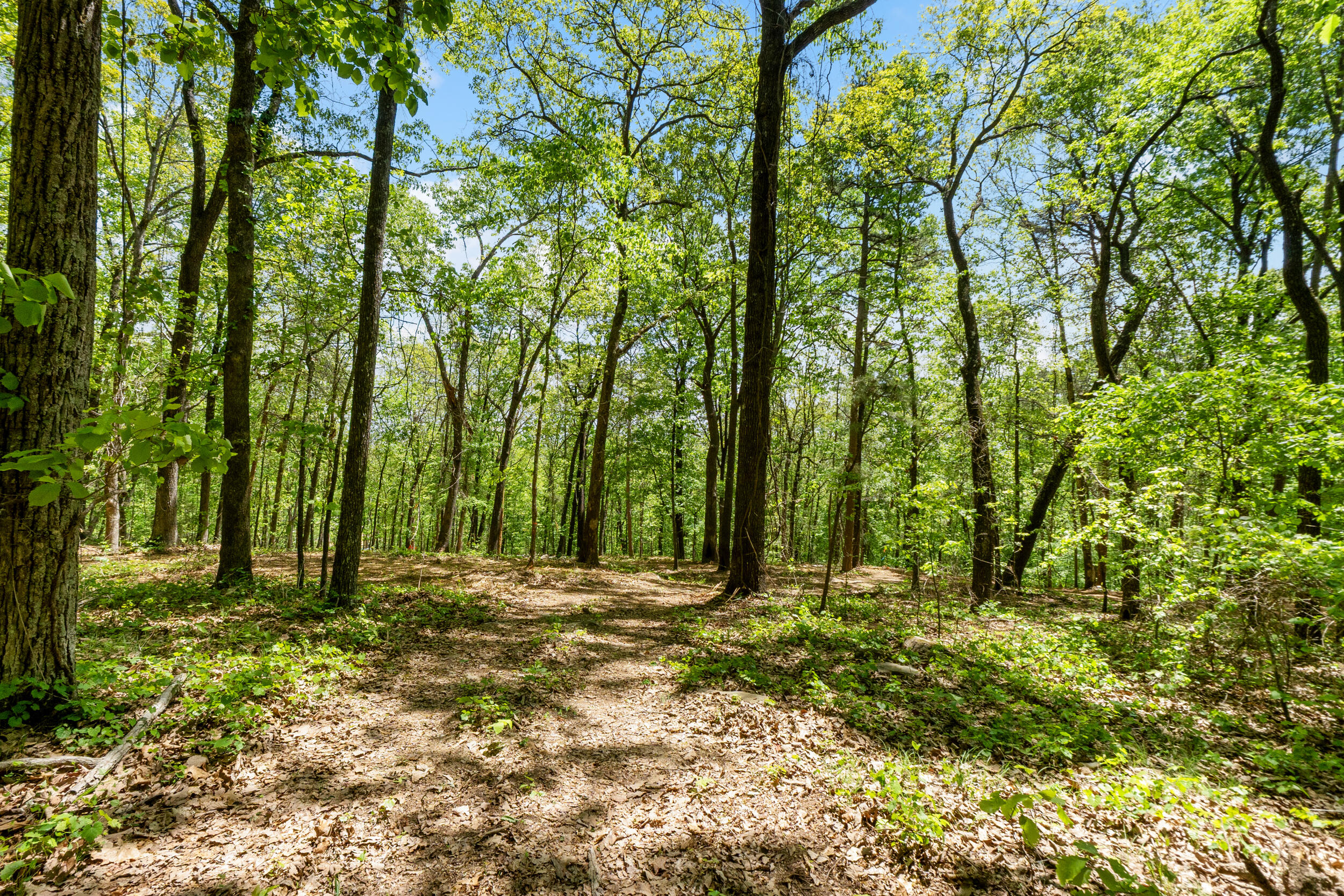 Lot 9 McDonald Road McDonald, TN 37353 - Photo 14 of 31 Photo