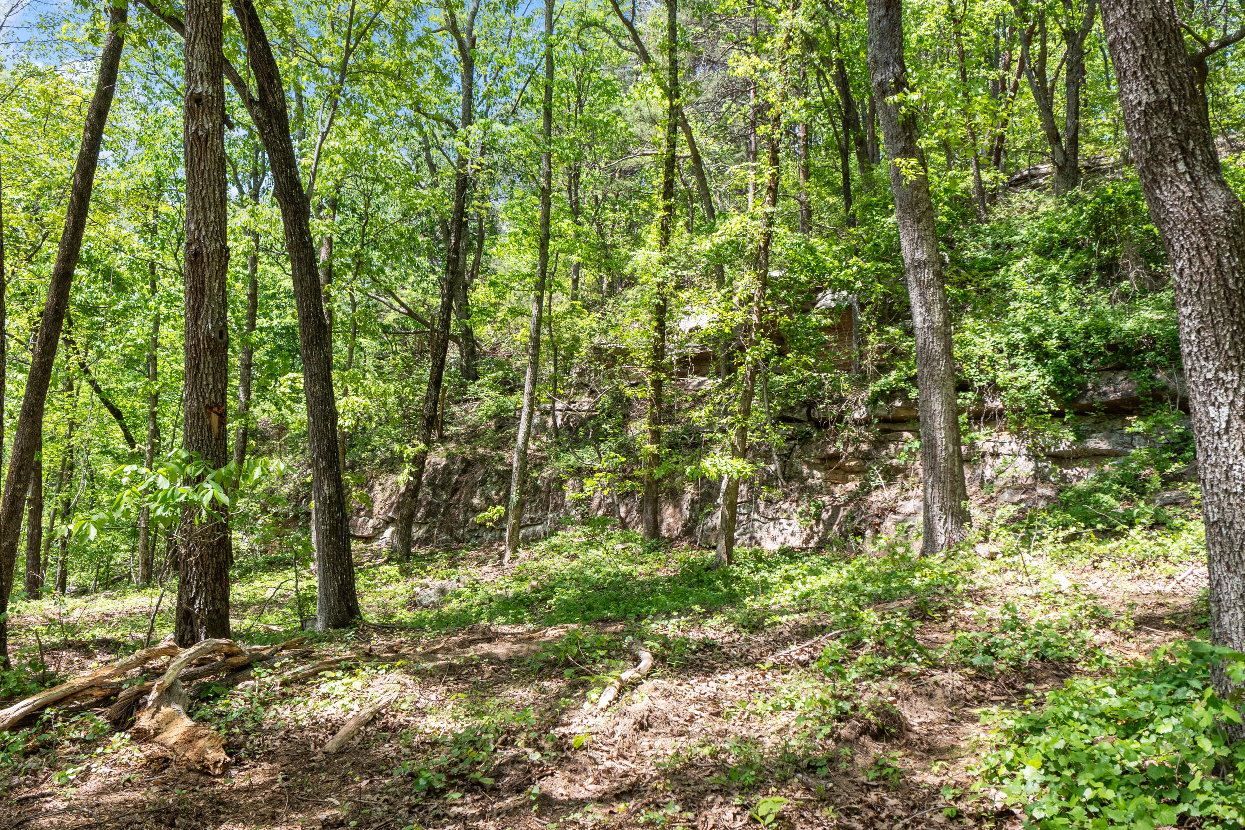 Lot 9 McDonald Road McDonald, TN 37353 - Photo 15 of 31 Photo