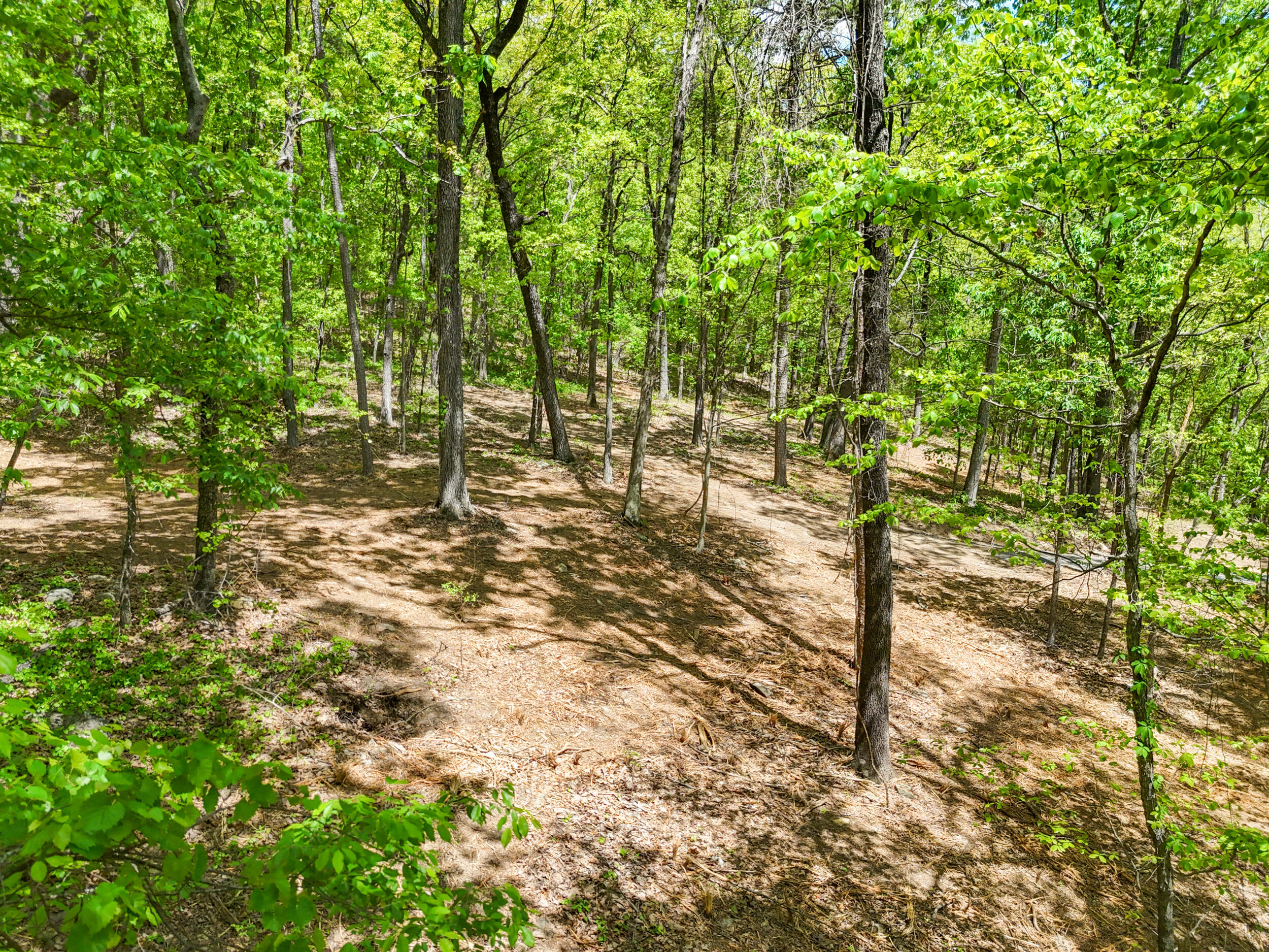 Lot 9 McDonald Road McDonald, TN 37353 - Photo 16 of 31 Photo