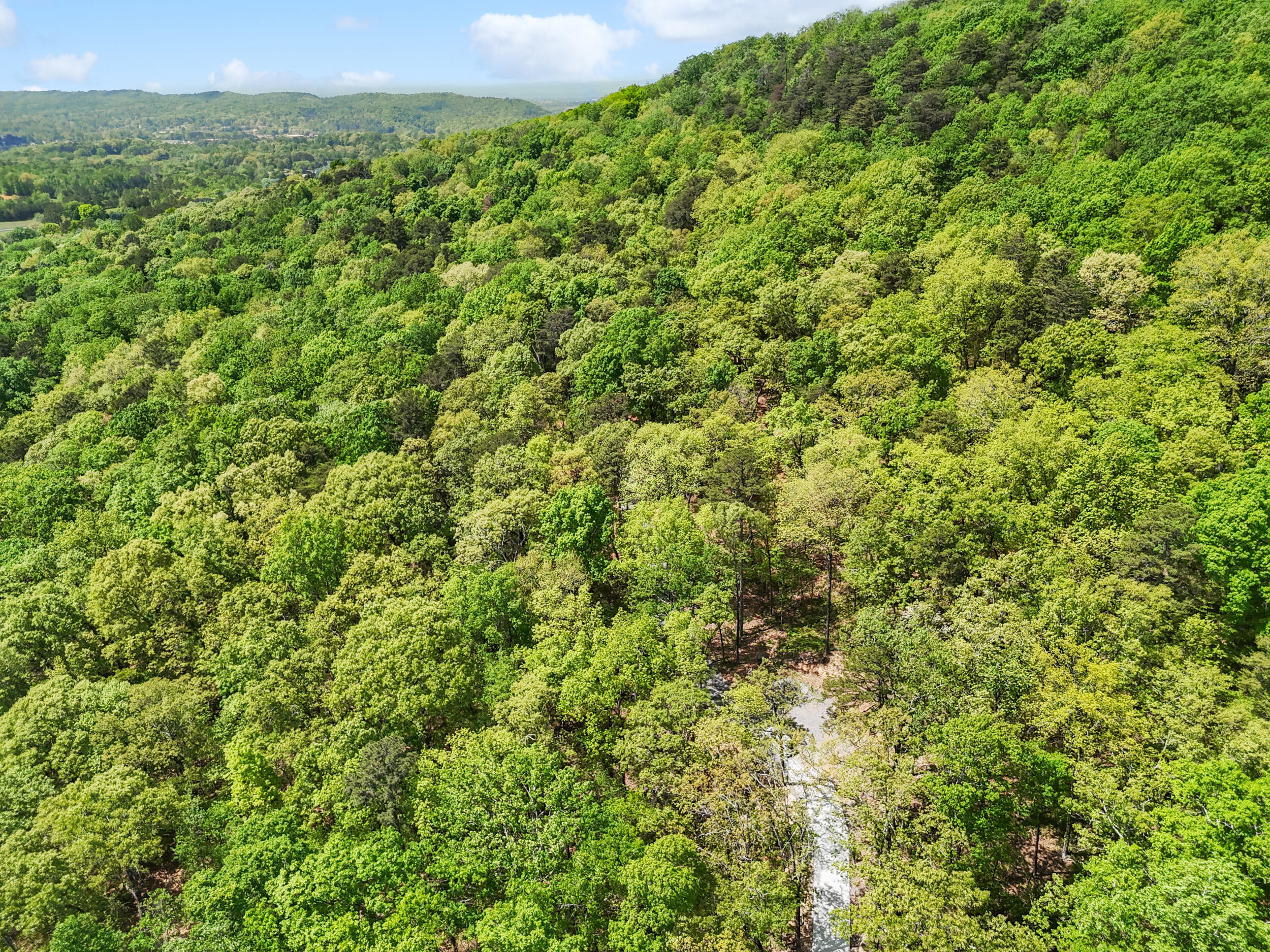 Lot 9 McDonald Road McDonald, TN 37353 - Photo 18 of 31 Photo