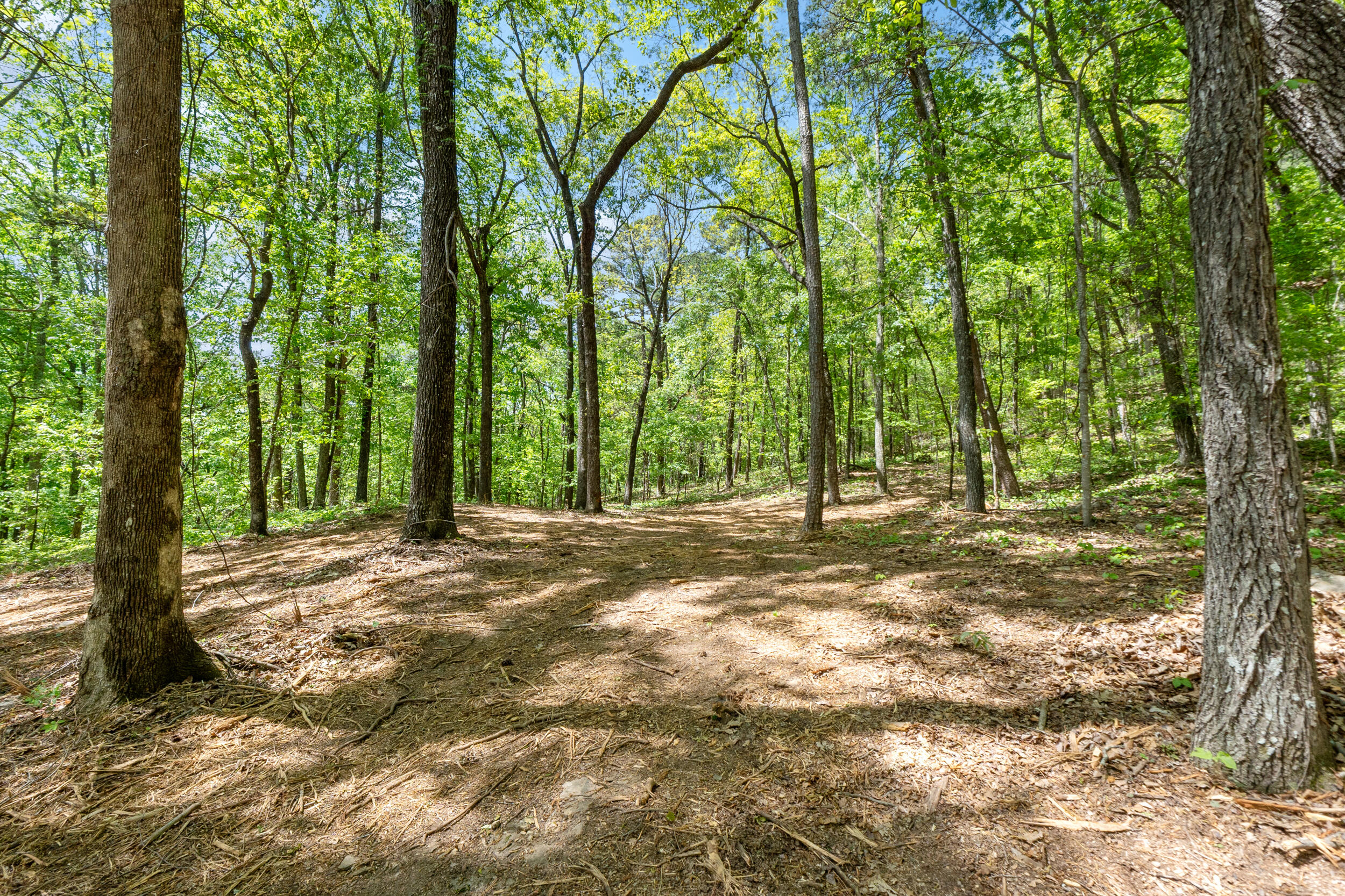 Lot 9 McDonald Road McDonald, TN 37353 - Photo 2 of 31 Photo