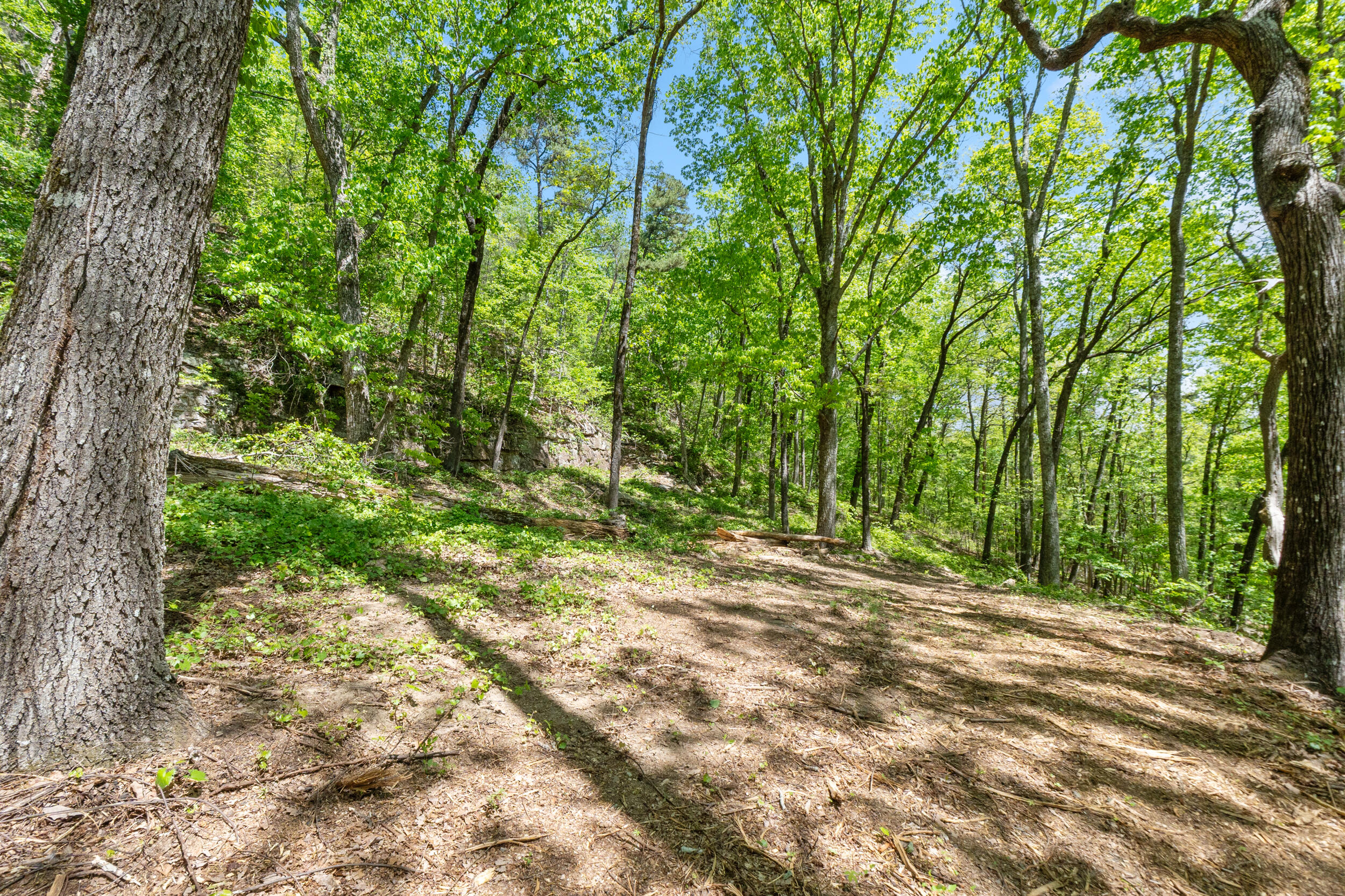Lot 9 McDonald Road McDonald, TN 37353 - Photo 21 of 31 Photo