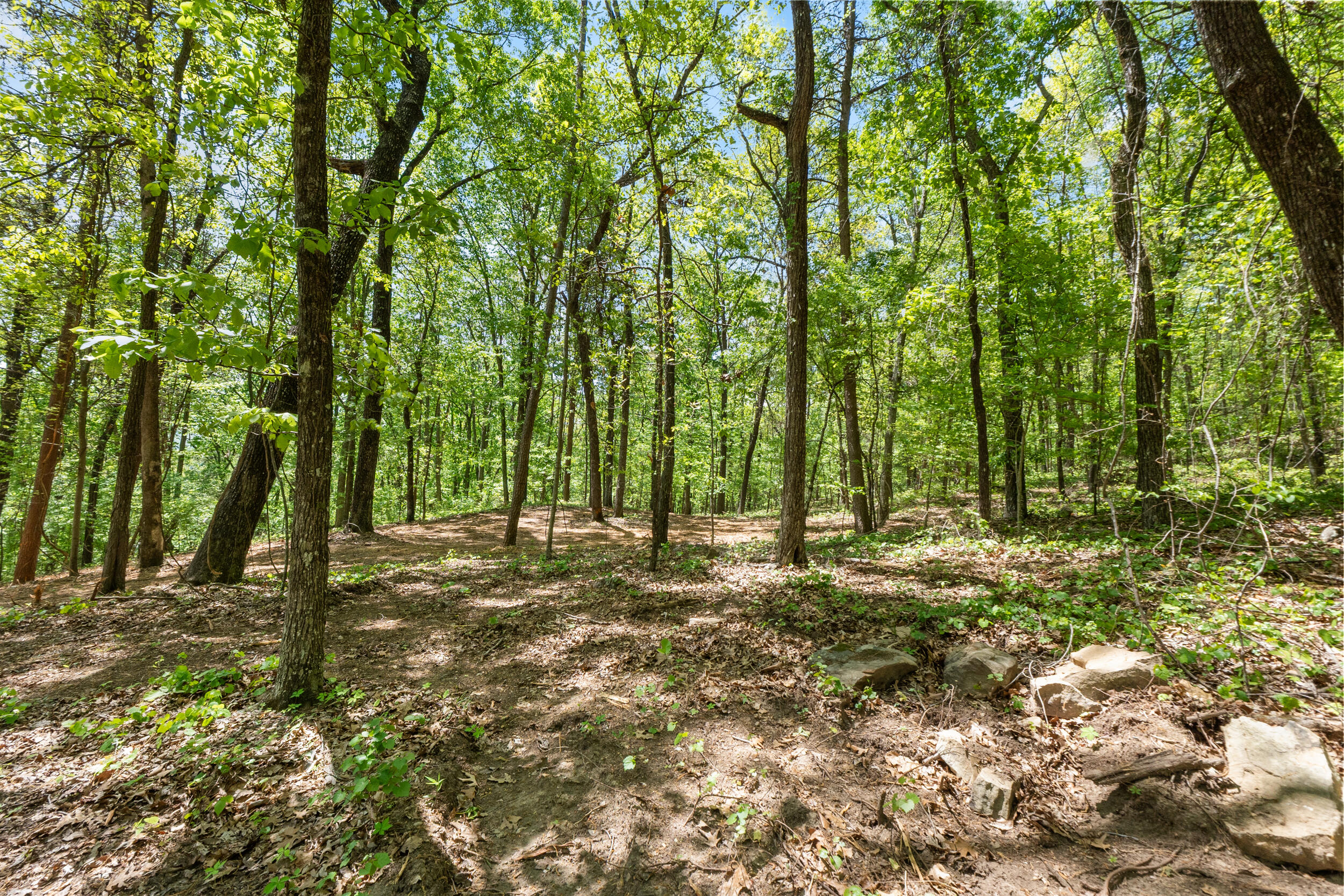 Lot 9 McDonald Road McDonald, TN 37353 - Photo 22 of 31 Photo
