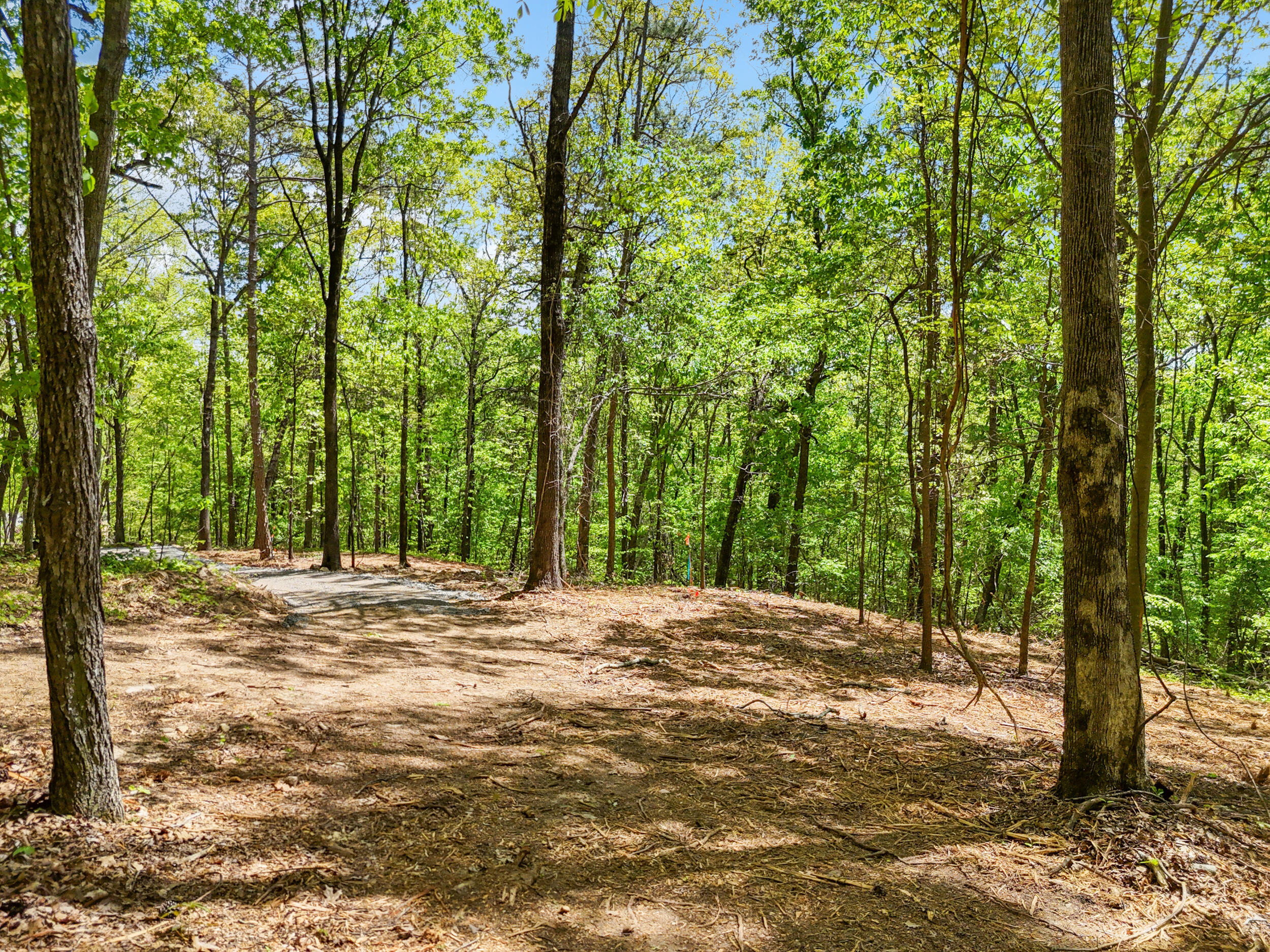 Lot 9 McDonald Road McDonald, TN 37353 - Photo 3 of 31 Photo