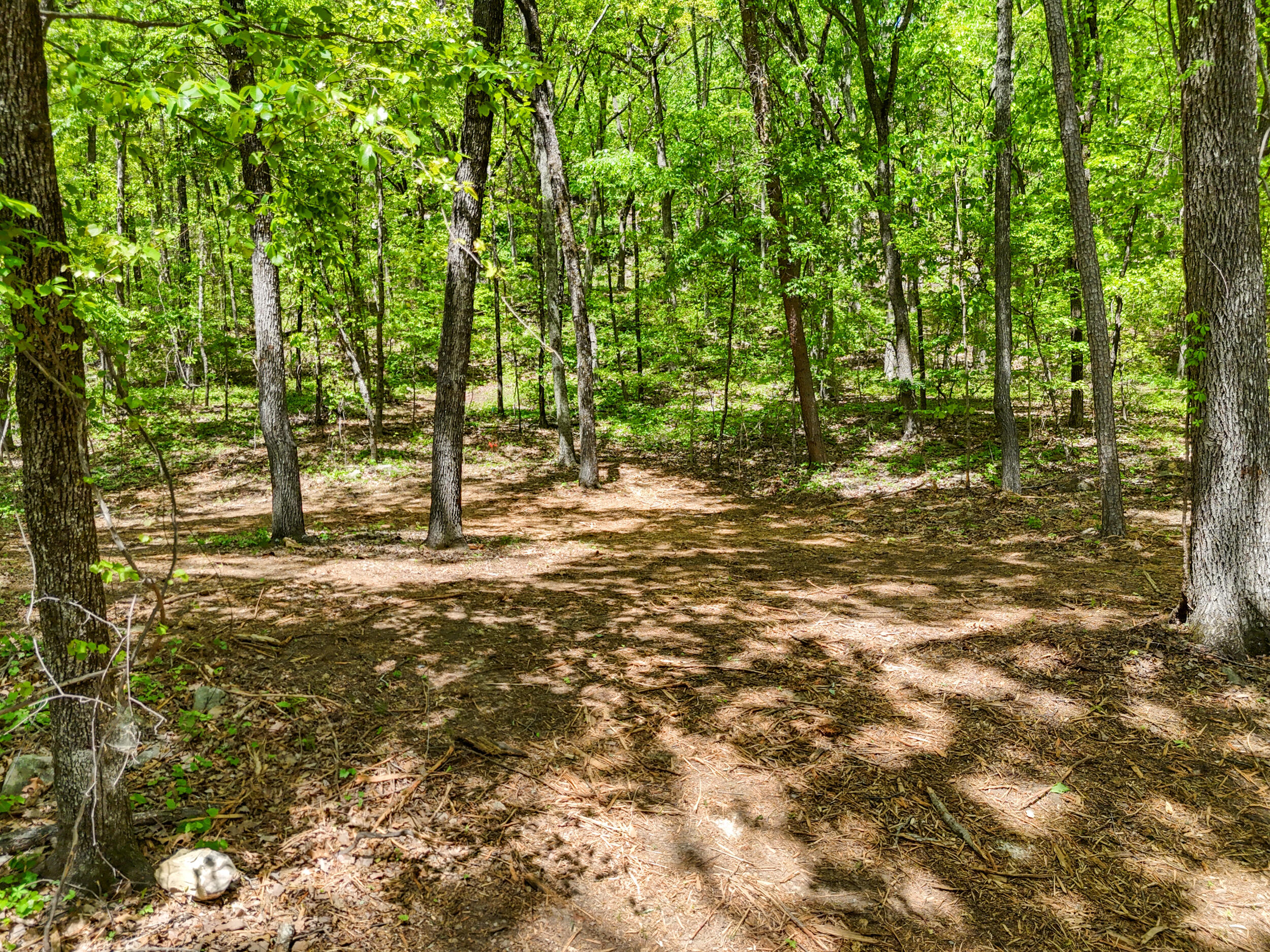Lot 9 McDonald Road McDonald, TN 37353 - Photo 4 of 31 Photo