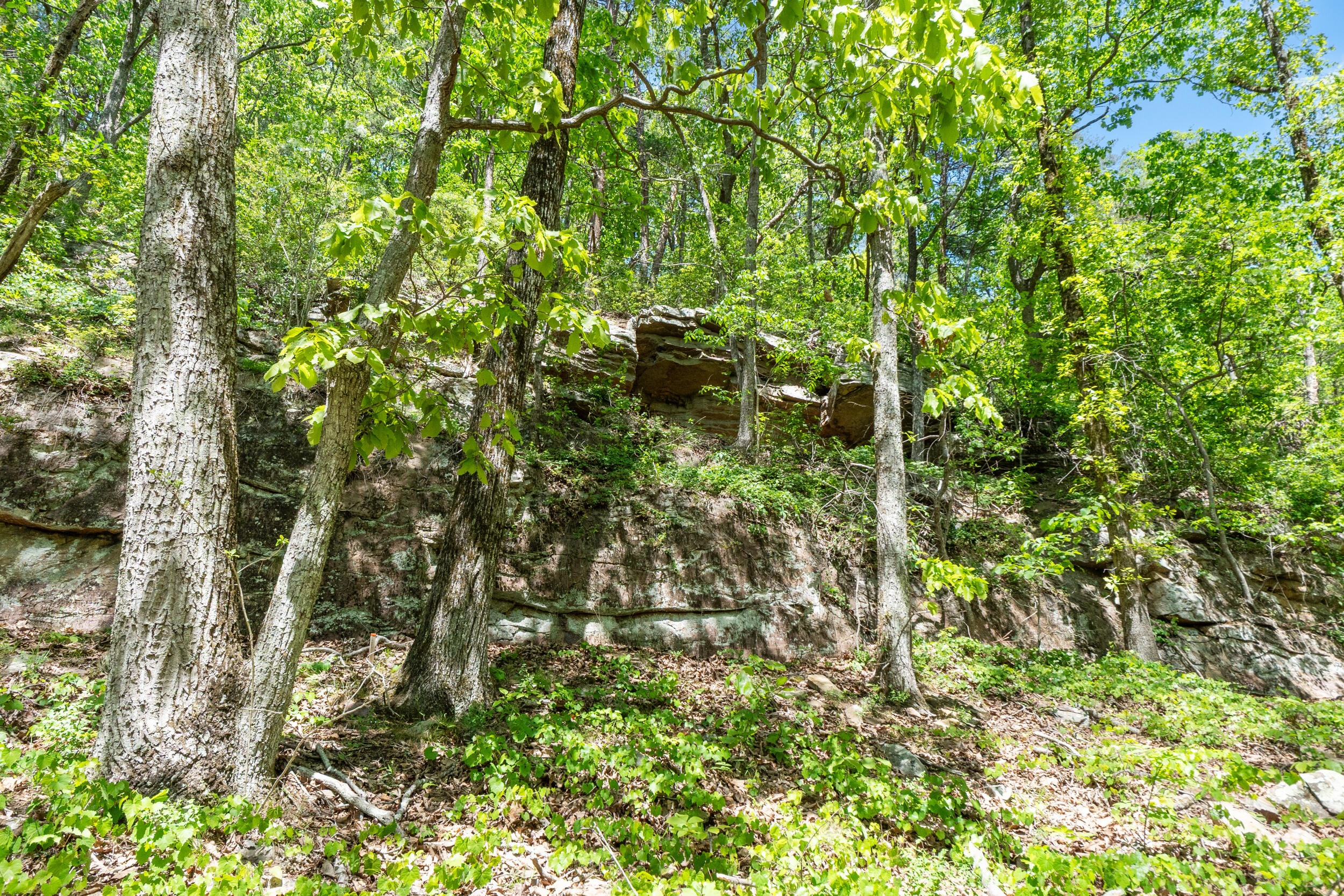 Lot 9 McDonald Road McDonald, TN 37353 - Photo 5 of 31 Photo