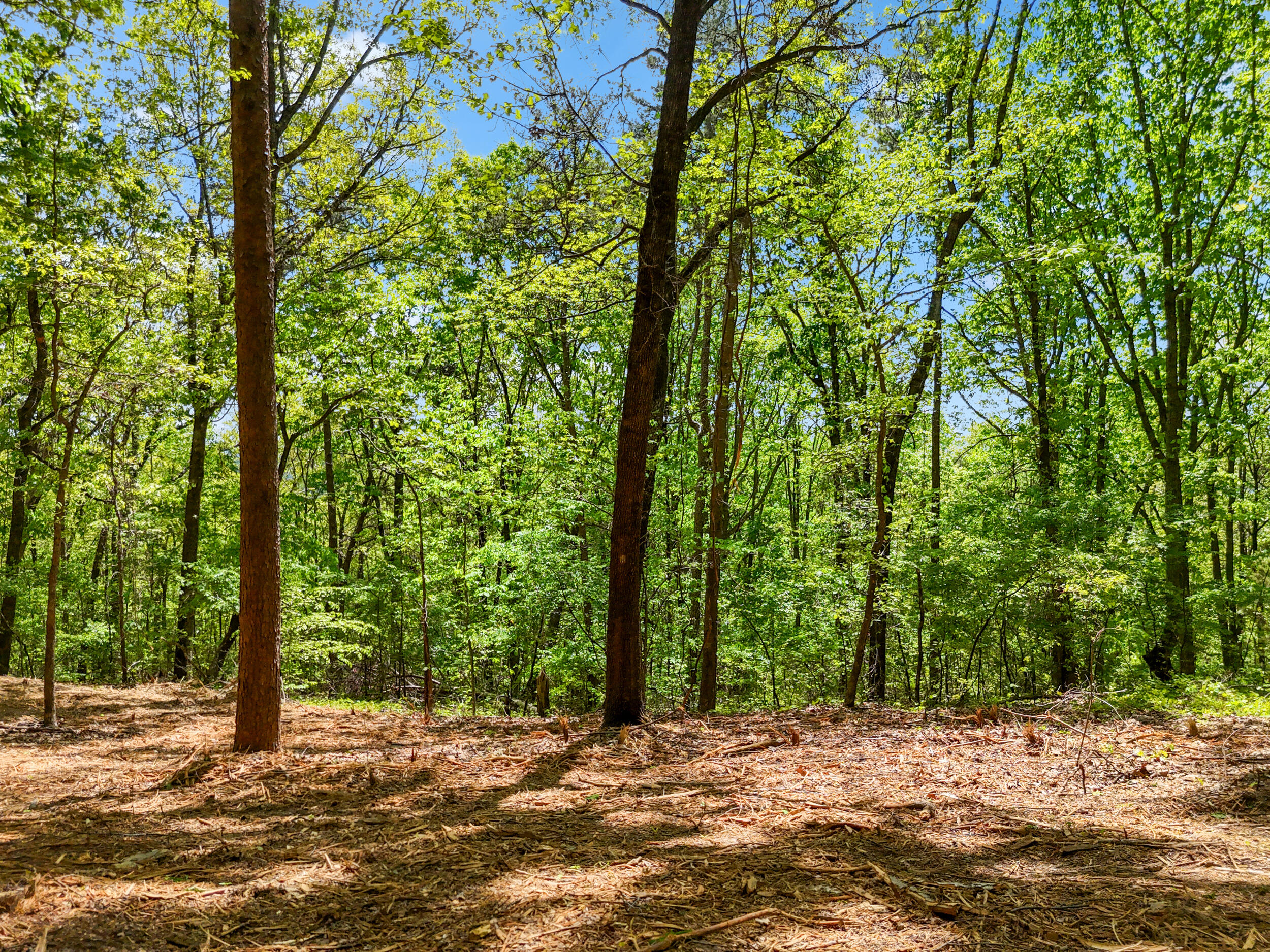 Lot 9 McDonald Road McDonald, TN 37353 - Photo 6 of 31 Photo