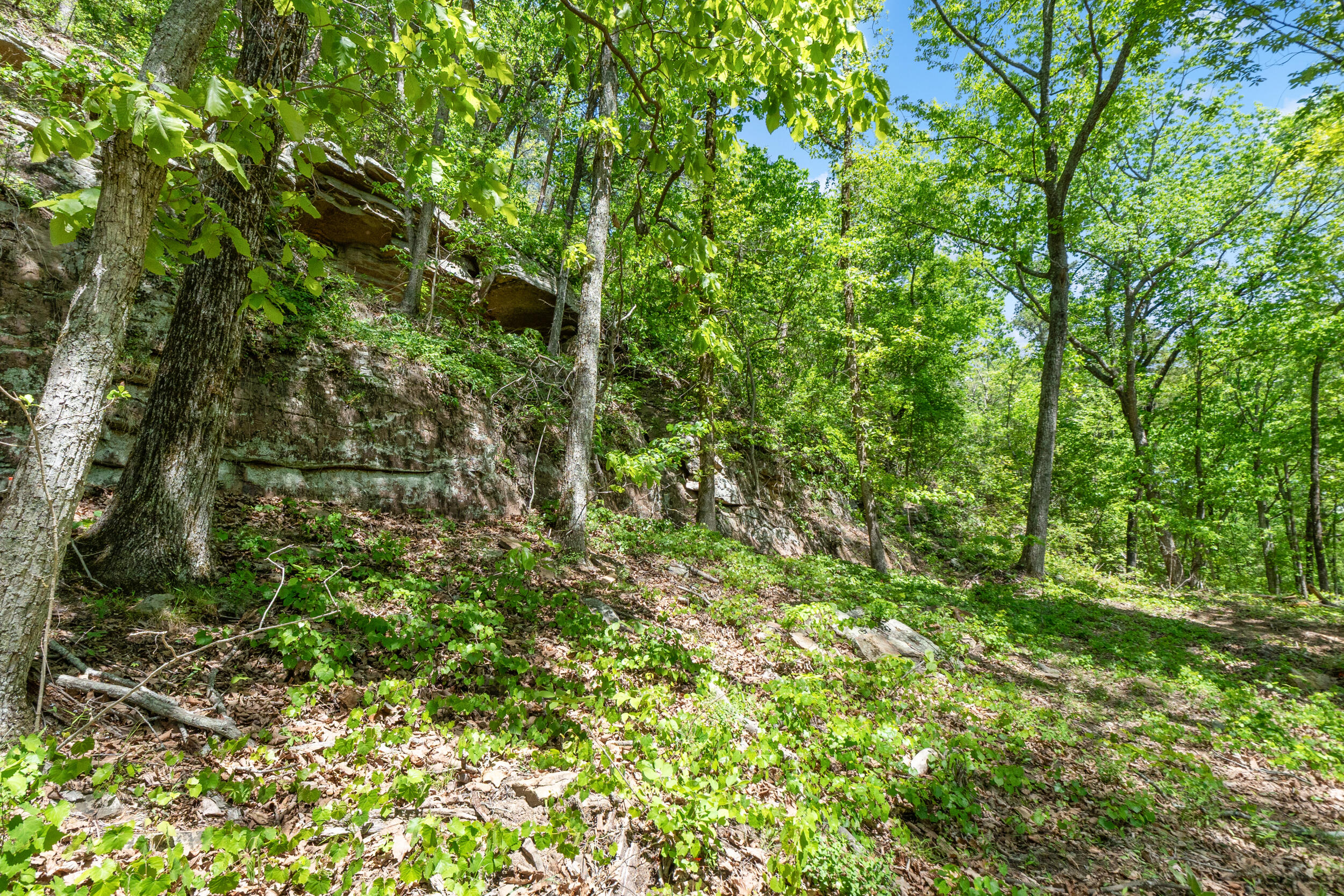 Lot 9 McDonald Road McDonald, TN 37353 - Photo 7 of 31 Photo