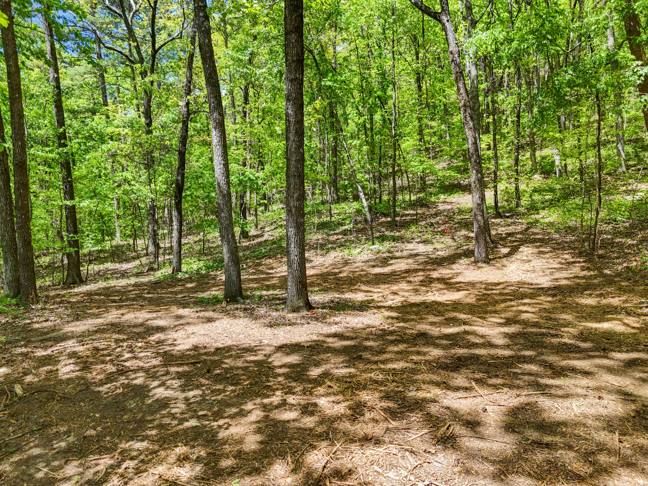 Lot 9 McDonald Road McDonald, TN 37353 - Photo 10 of 31 Photo