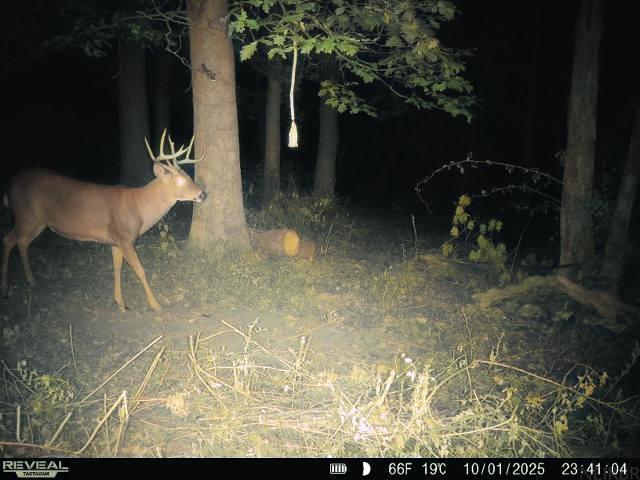 0 Lycurgus Road Waukon, IA 52172 - Photo 13 of 24 Gallery Image 13