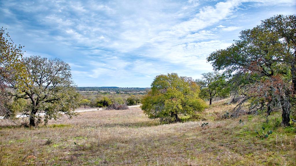 0 Ranch Road 2618 Mason, TX 76856 - Photo 11 of 15 Gallery Image 11