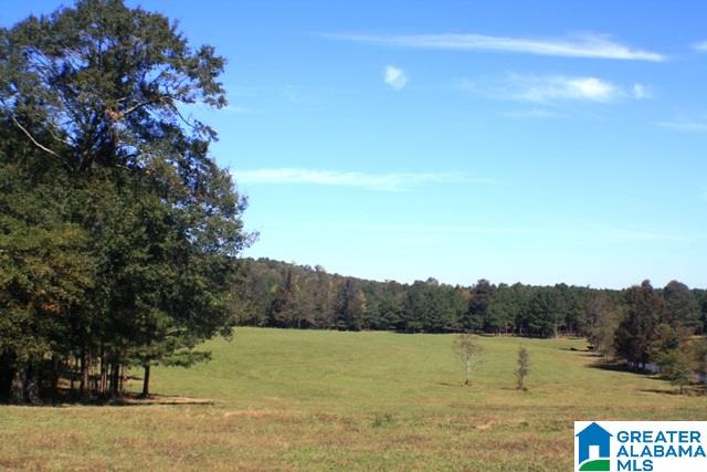 1785 Nunnally Lake Road Ohatchee, AL 36271 - Photo 29 of 50
