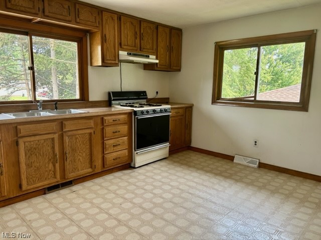 11333 Prospect Road Strongsville, OH 44149 - Photo 18 of 31 Gallery Image 18