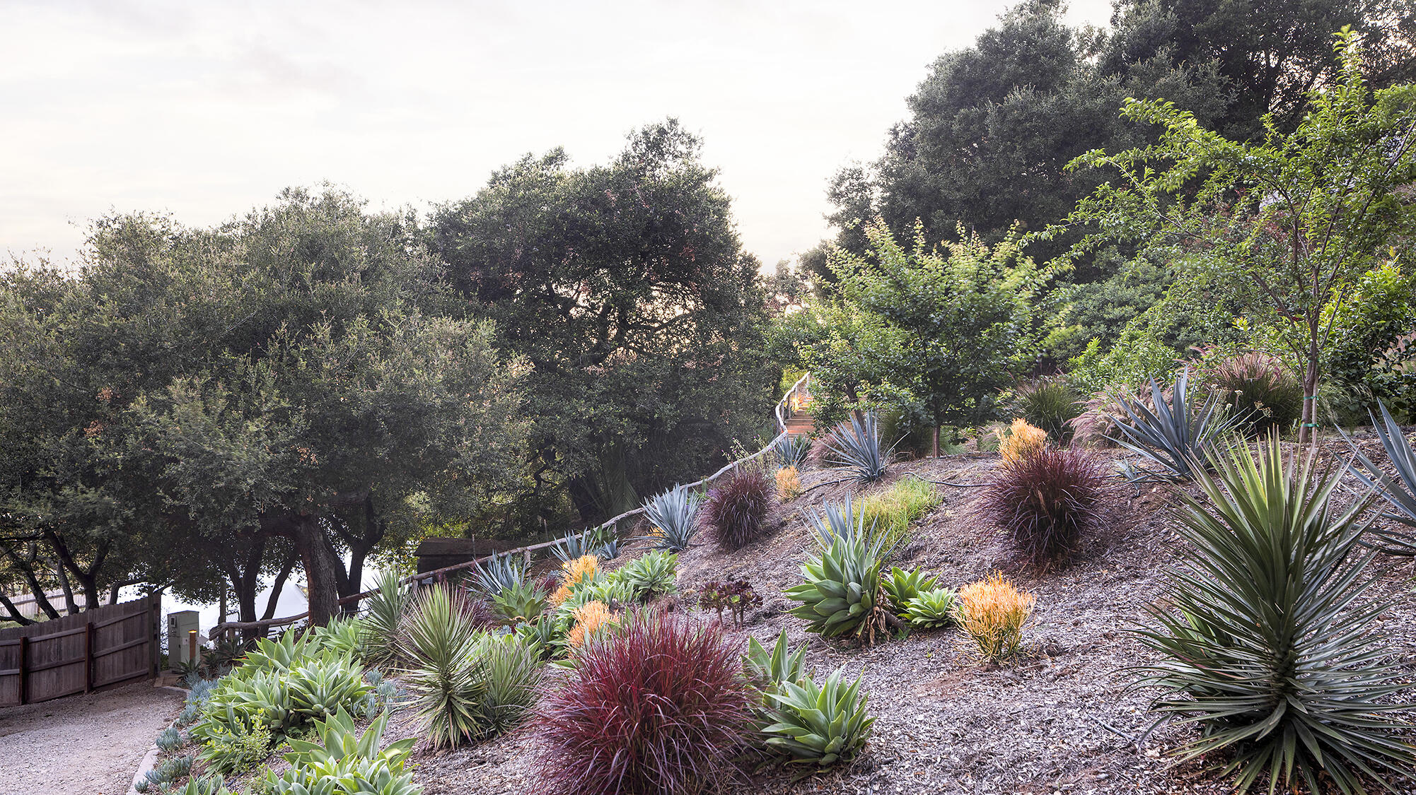 1545 San Roque Road Santa Barbara, CA 93105 - Photo 50 of 60 a view of a plants with a flower garden