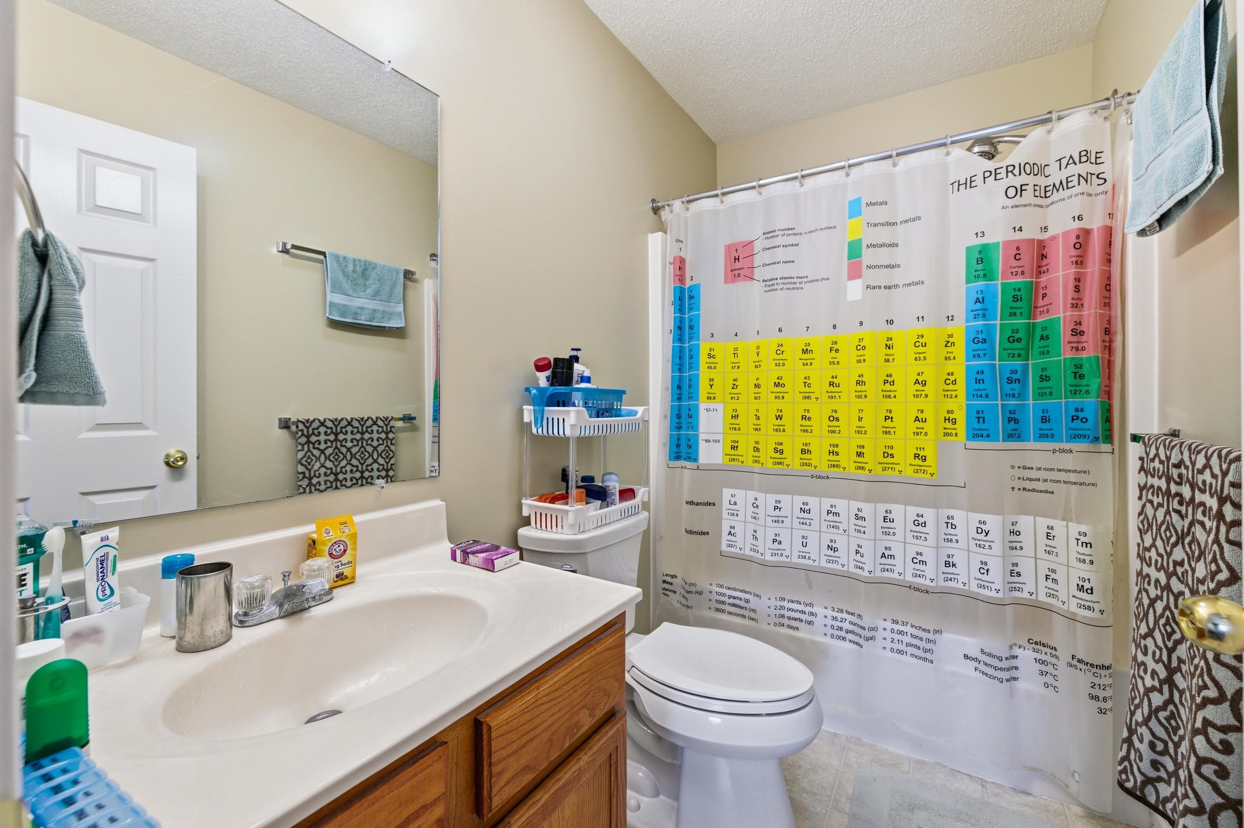 730 Merlins Way Harrisonburg, VA 22801 - Photo 16 of 23 a bathroom with a sink vanity mirror and toilet