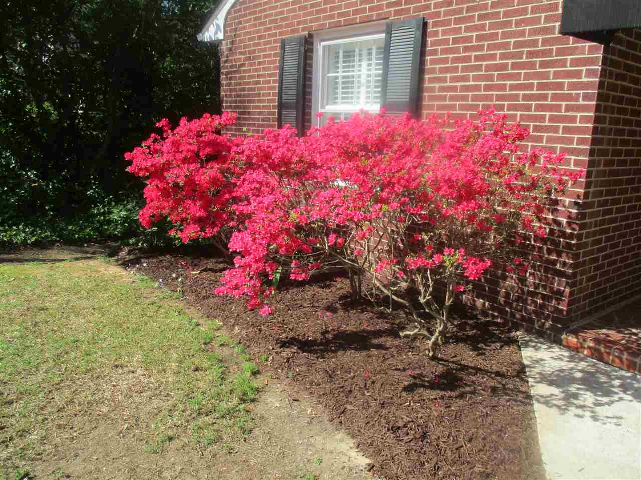102 Cherokee Avenue Union, SC 29379 - Photo 6 of 29 Gallery Image 6