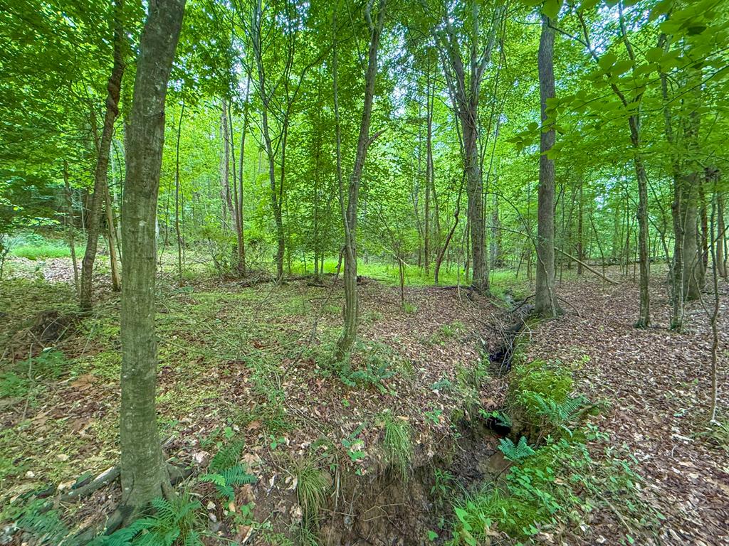 8820 Nutbush Road Green Bay, VA 23942 - Photo 67 of 70 Gallery Image 67