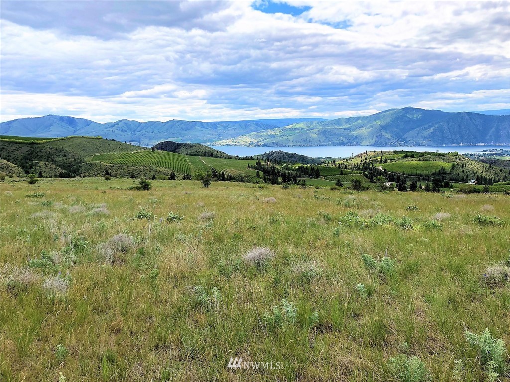 10 Ivan Morse Road Manson, WA 98831 - Photo 14 of 16 Gallery Image 14