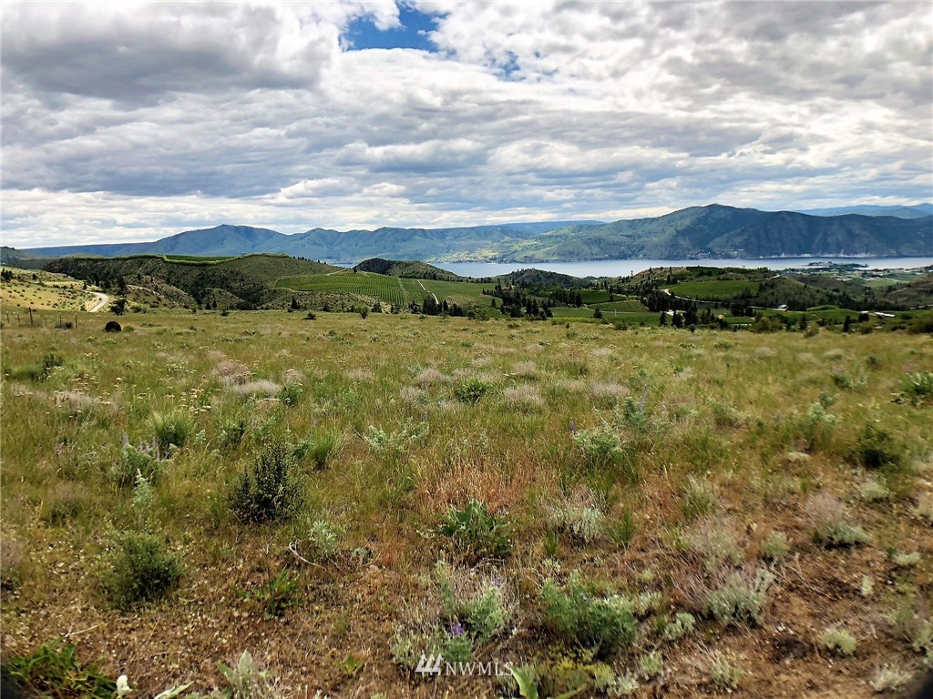 10 Ivan Morse Road Manson, WA 98831 - Photo 4 of 16 Gallery Image 4