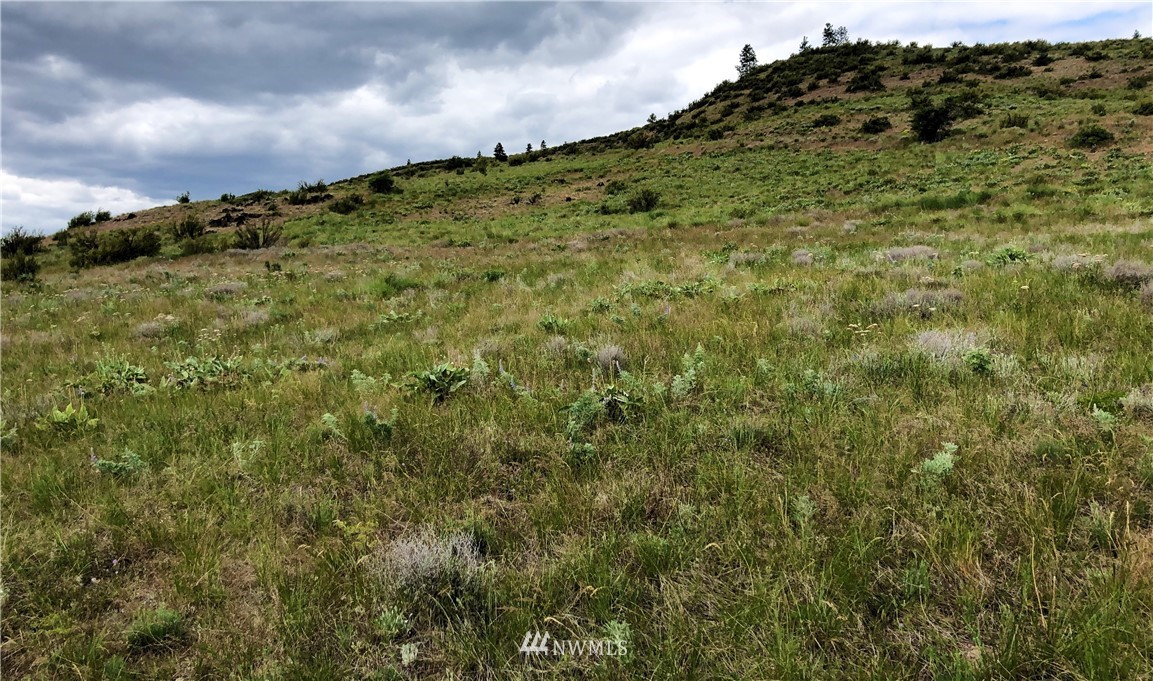 10 Ivan Morse Road Manson, WA 98831 - Photo 10 of 16 Gallery Image 10