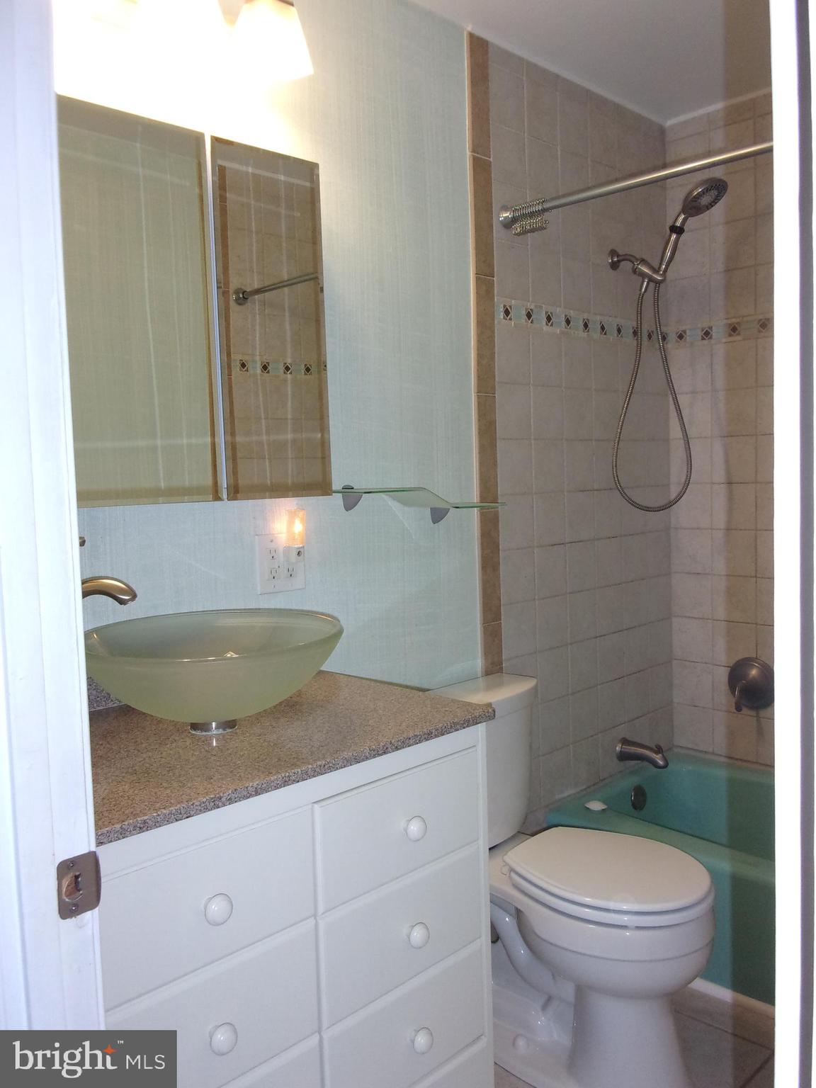 309 Bryanstone Road Reisterstown, MD 21136 - Photo 14 of 25 Main floor bathroom w/ vessel sink & heated floor