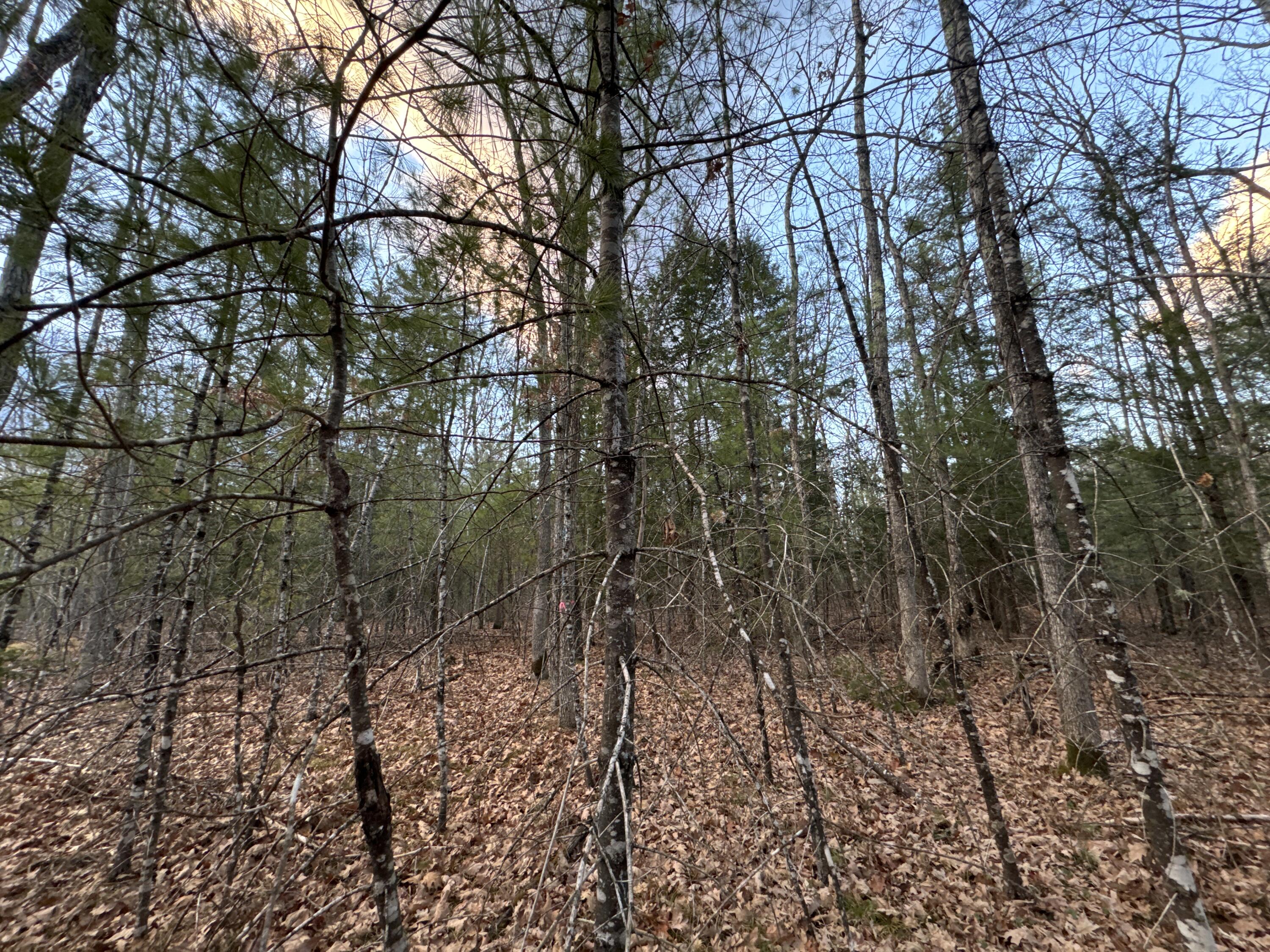 0 River Road Hiram, ME 04041 - Photo 14 of 30 Subdivison lot 3