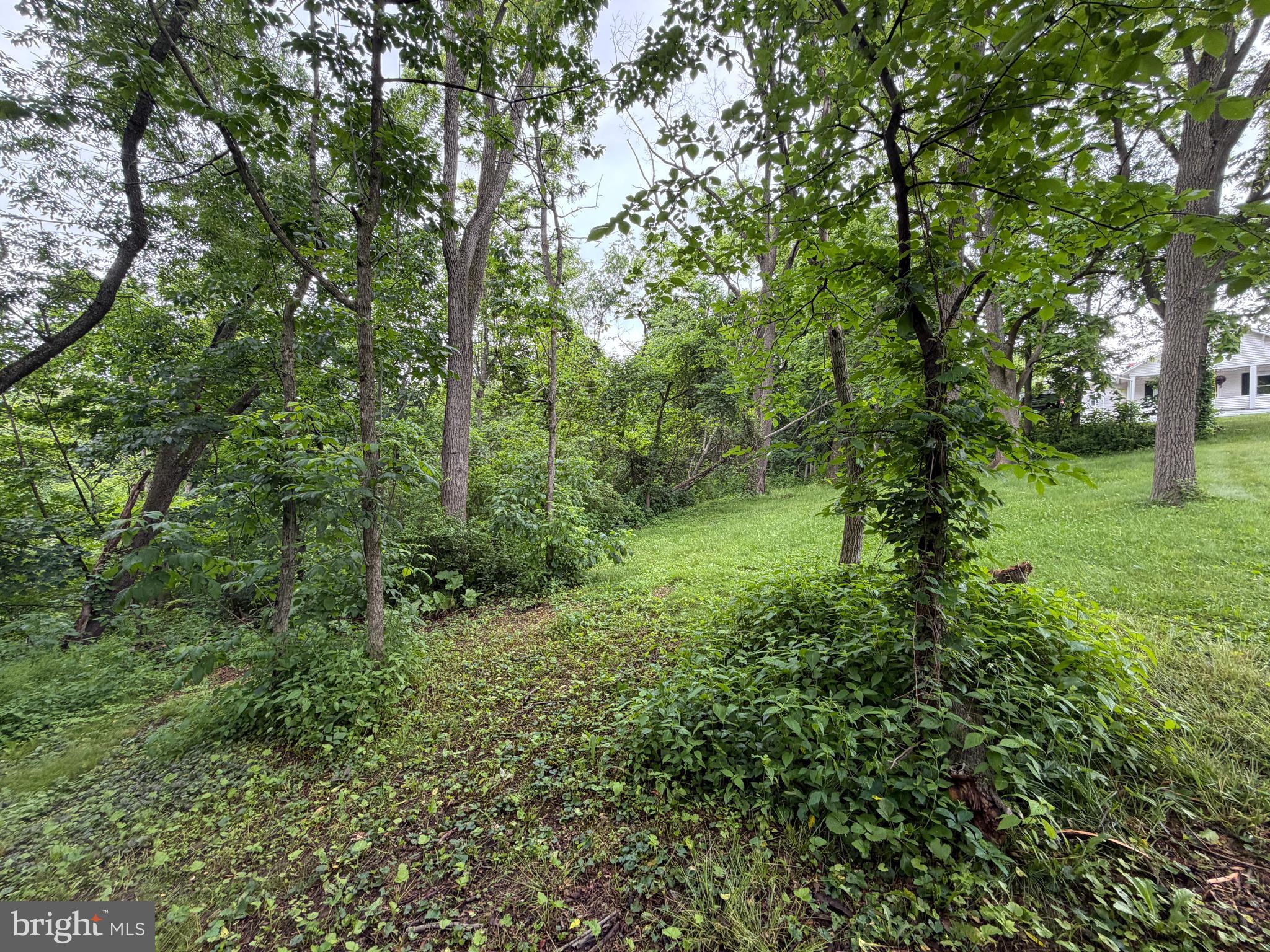 0 Monroe Street Everett, PA 15537 - Photo 11 of 14