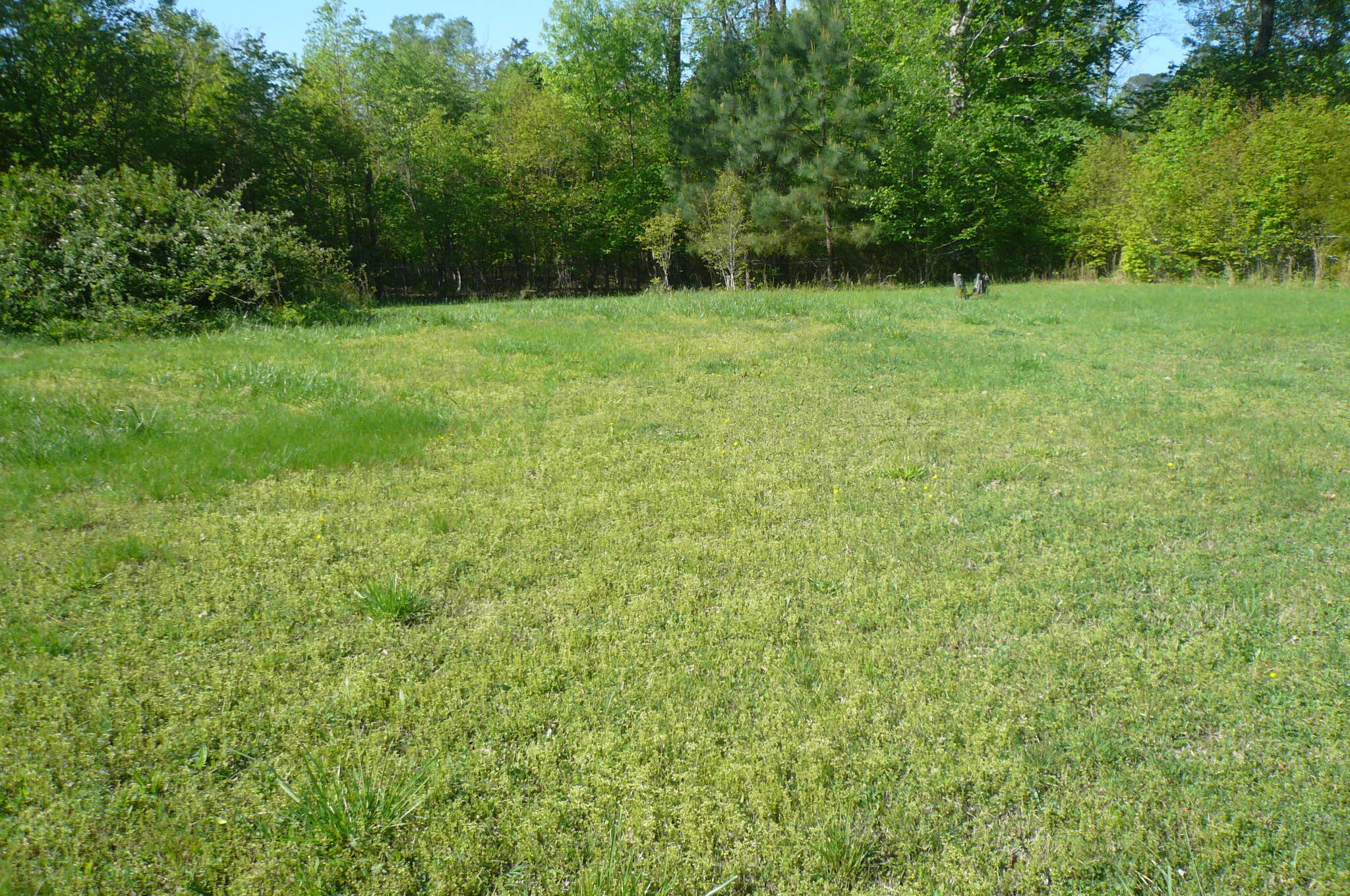 432 Lake Howard Road LaFayette, GA 30728 - Photo 8 of 23 P1070764