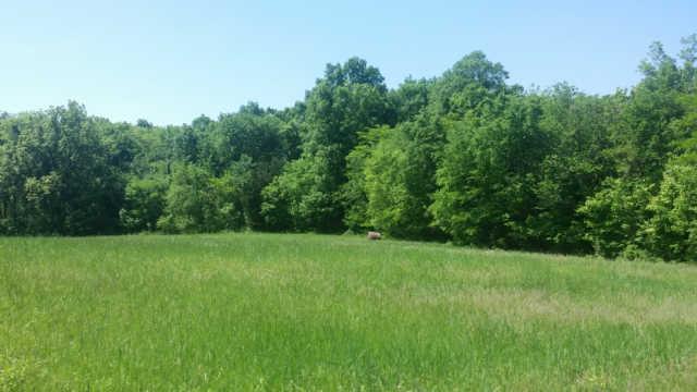 8464 Pettus Road Eagleville, TN 37060 - Photo 5 of 20 Gallery Image 5