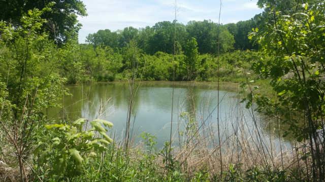 8464 Pettus Road Eagleville, TN 37060 - Photo 10 of 20 Gallery Image 10
