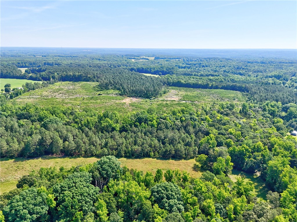 0 Horse Farm Road Iva, SC 29655 - Photo 22 of 32 Vast stretches of mature timber and open clearings define this exceptional rural acreage.