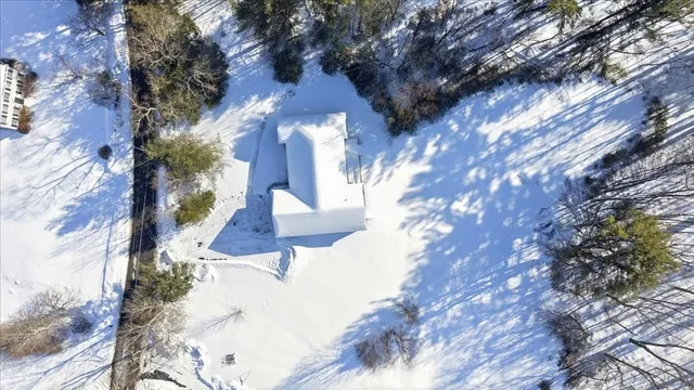 a view of a yard in a backyard
