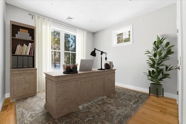 a living room with furniture and a potted plant