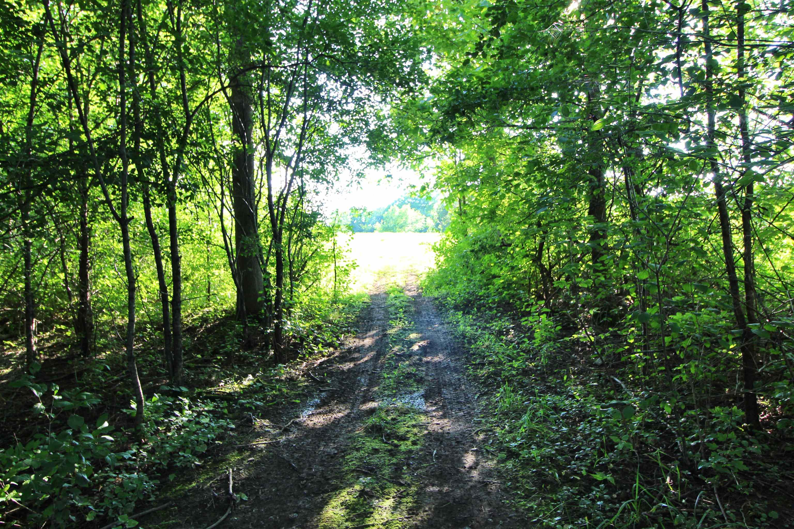 27 Faywood Road, Unit LOT 4 Grand Isle, VT 05458 - Photo 4 of 8