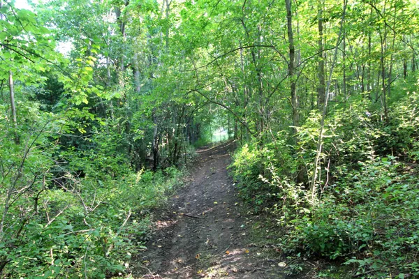 $125,000 | 27 Faywood Road, Unit LOT 4, Grand Isle, VT 05458