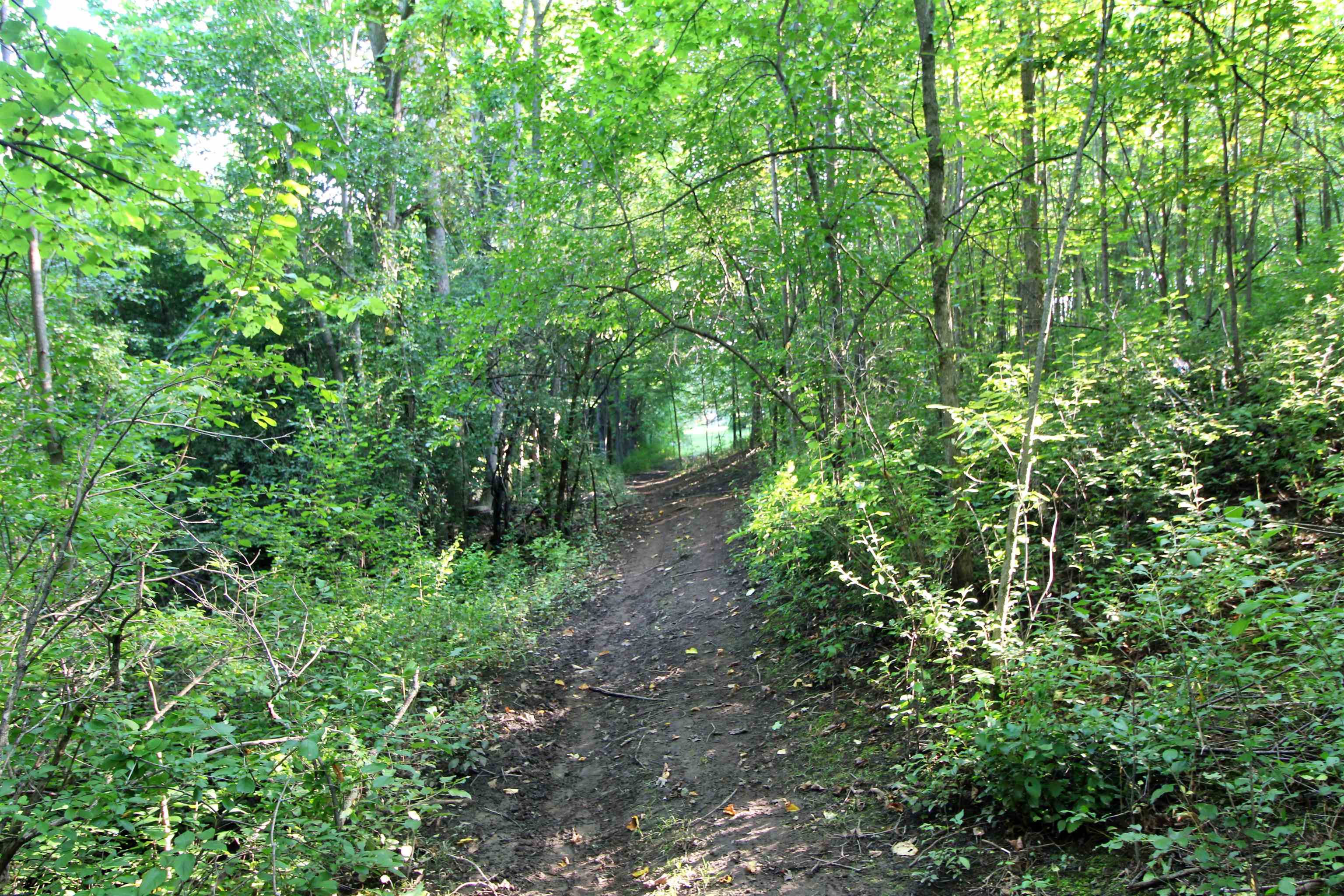 27 Faywood Road, Unit LOT 4 Grand Isle, VT 05458 - Photo 6 of 8