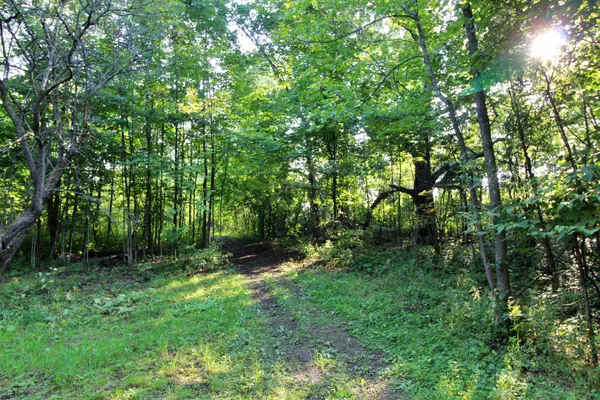 $125,000 | 27 Faywood Road, Unit LOT 4, Grand Isle, VT 05458