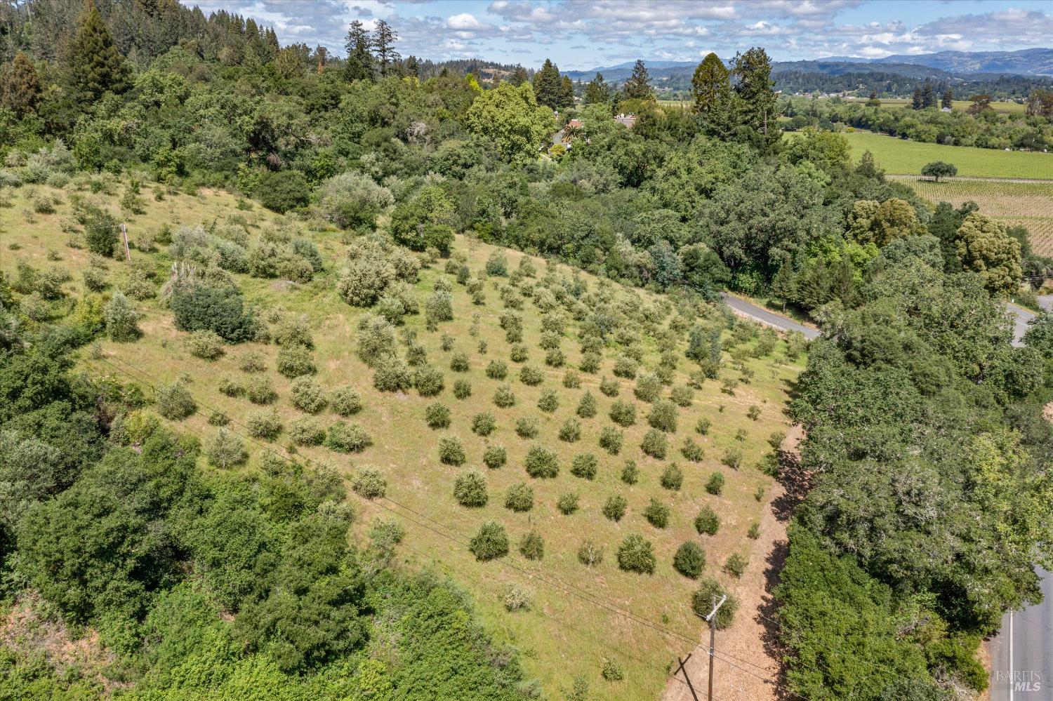 1077 Westside Road Healdsburg, CA 95448 - Photo 12 of 48 a view of a large yard with lots of green space