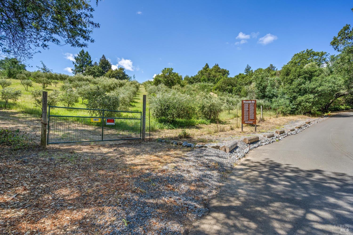 1077 Westside Road Healdsburg, CA 95448 - Photo 14 of 48 a view of a park with large trees