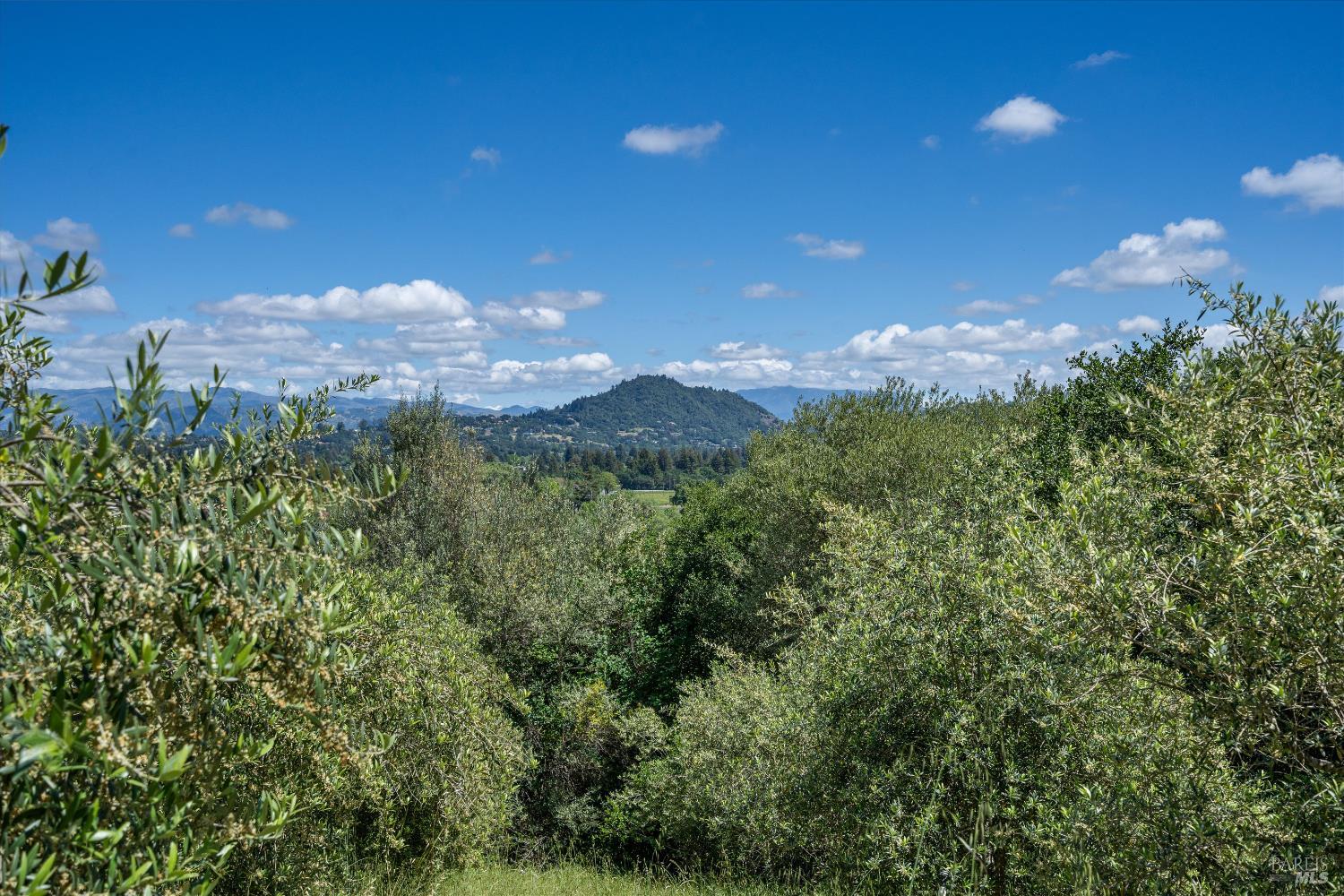 1077 Westside Road Healdsburg, CA 95448 - Photo 16 of 48 a view of a city and mountain view in back