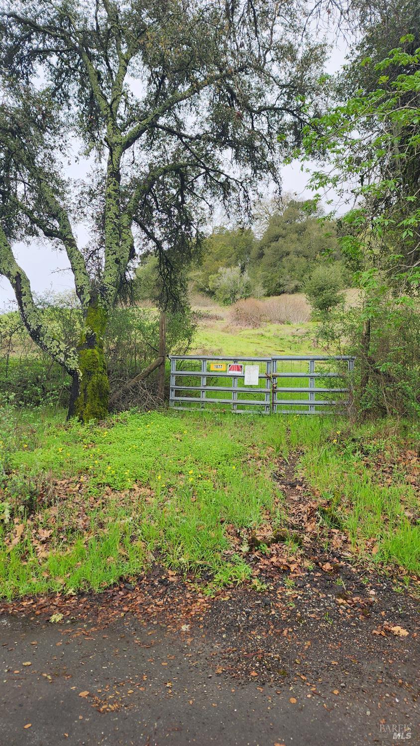 1077 Westside Road Healdsburg, CA 95448 - Photo 17 of 48 a view of outdoor space and yard