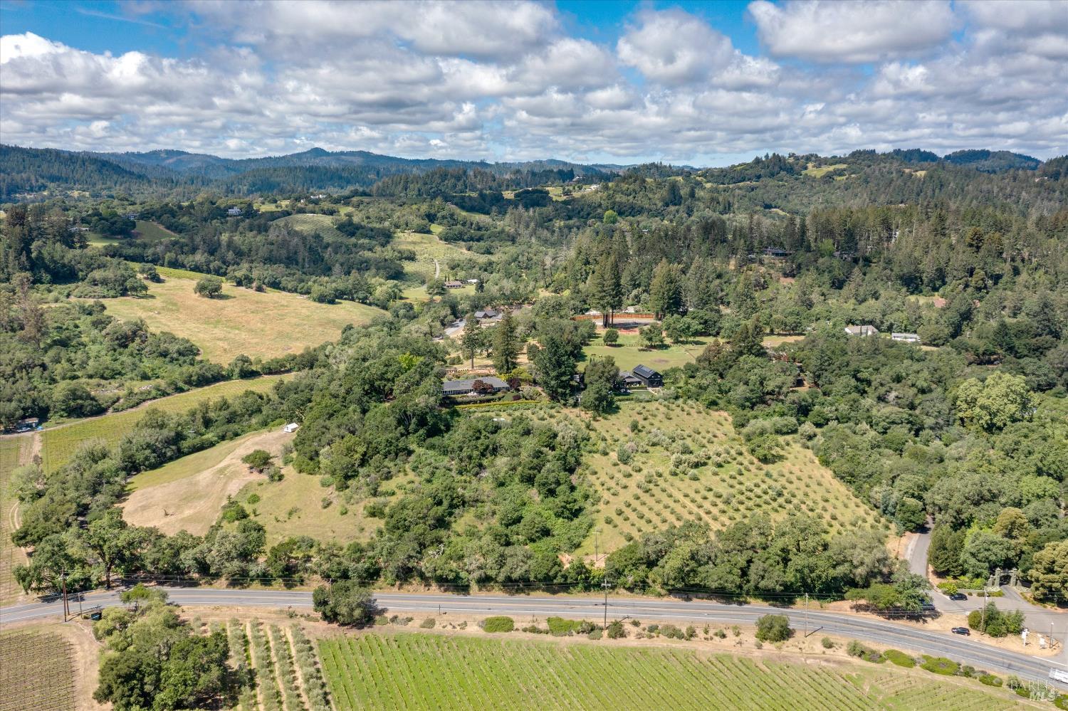 1077 Westside Road Healdsburg, CA 95448 - Photo 2 of 48 a view of a lake with a mountain in the background