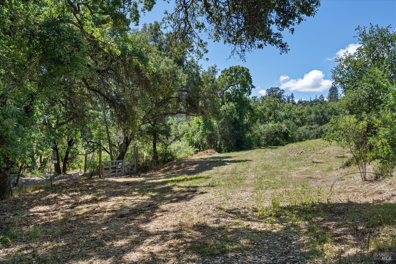1077 Westside Road Healdsburg, CA 95448 - Photo 21 of 48 a view of a yard with trees