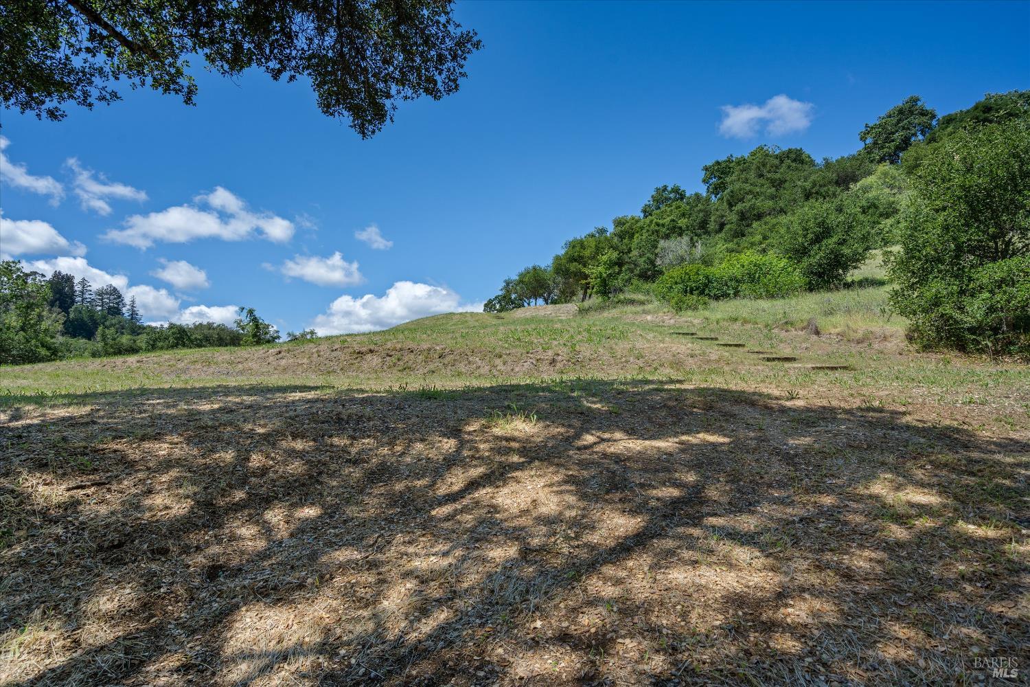 1077 Westside Road Healdsburg, CA 95448 - Photo 22 of 48 a view of a field with an trees