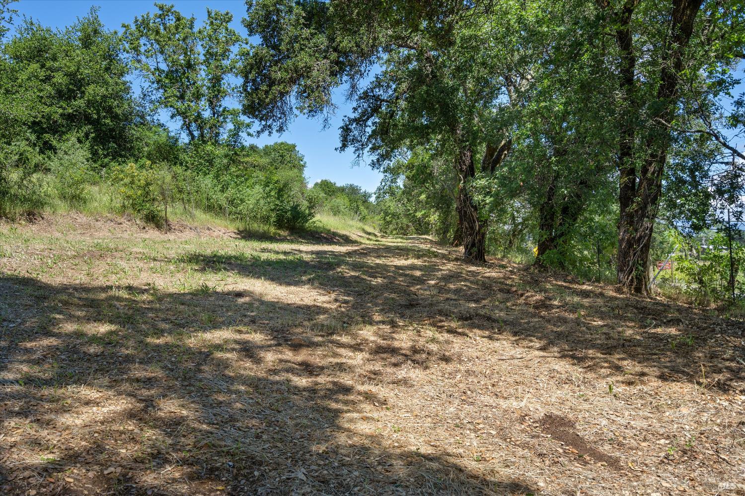 1077 Westside Road Healdsburg, CA 95448 - Photo 24 of 48 a view of a yard with plants and large trees
