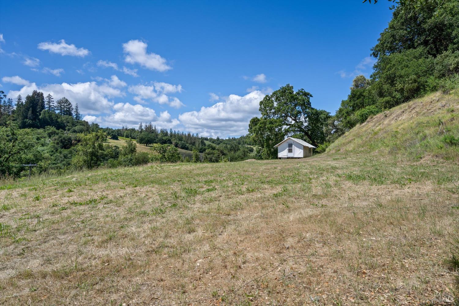 1077 Westside Road Healdsburg, CA 95448 - Photo 26 of 48 a view of a yard with an trees