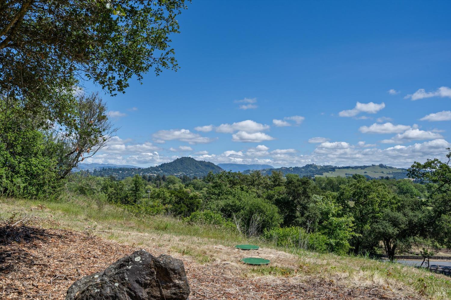 1077 Westside Road Healdsburg, CA 95448 - Photo 27 of 48 a view of a lake with a mountain in the background